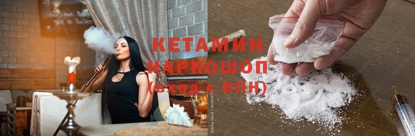 прущие грибы Бронницы