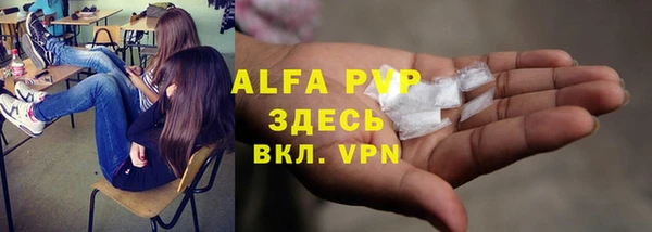 прущие грибы Бронницы