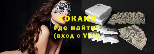прущие грибы Бронницы