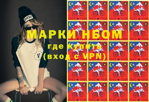 прущие грибы Бронницы