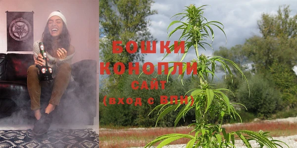 прущие грибы Бронницы