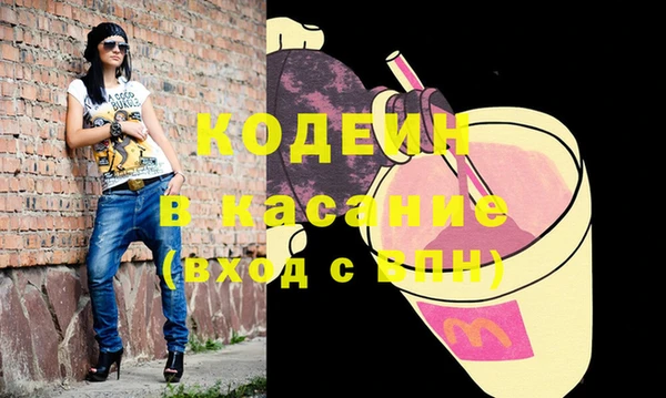 прущие грибы Бронницы