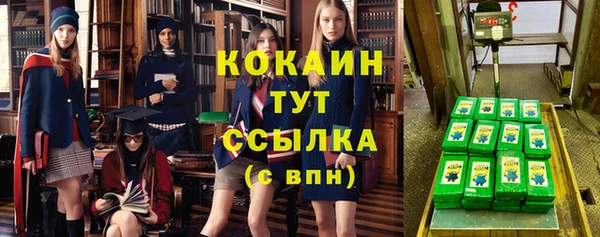 прущие грибы Бронницы