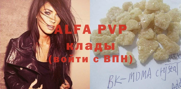 прущие грибы Бронницы