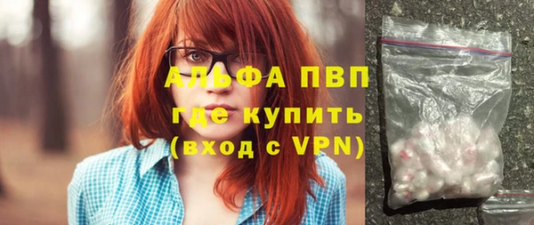 прущие грибы Бронницы