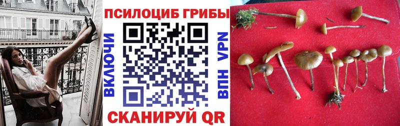 Купить где  Краснокамск  Псилоцибиновые грибы Magic Shrooms 