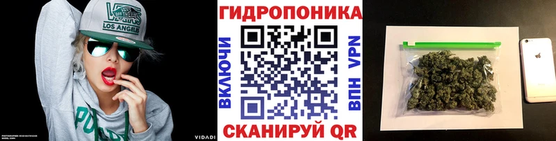 Купить  Краснокамск  Каннабис ГИДРОПОН 